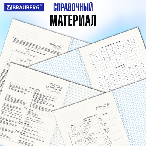 Миниатюра товара Предметный тетрадь 48л 12шт Brauberg 404026 7