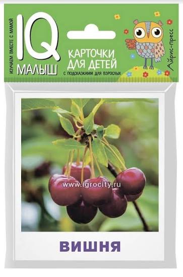 Миниатюра товара Карточки для детей. IQ Малыш. Айрис-пресс. 3