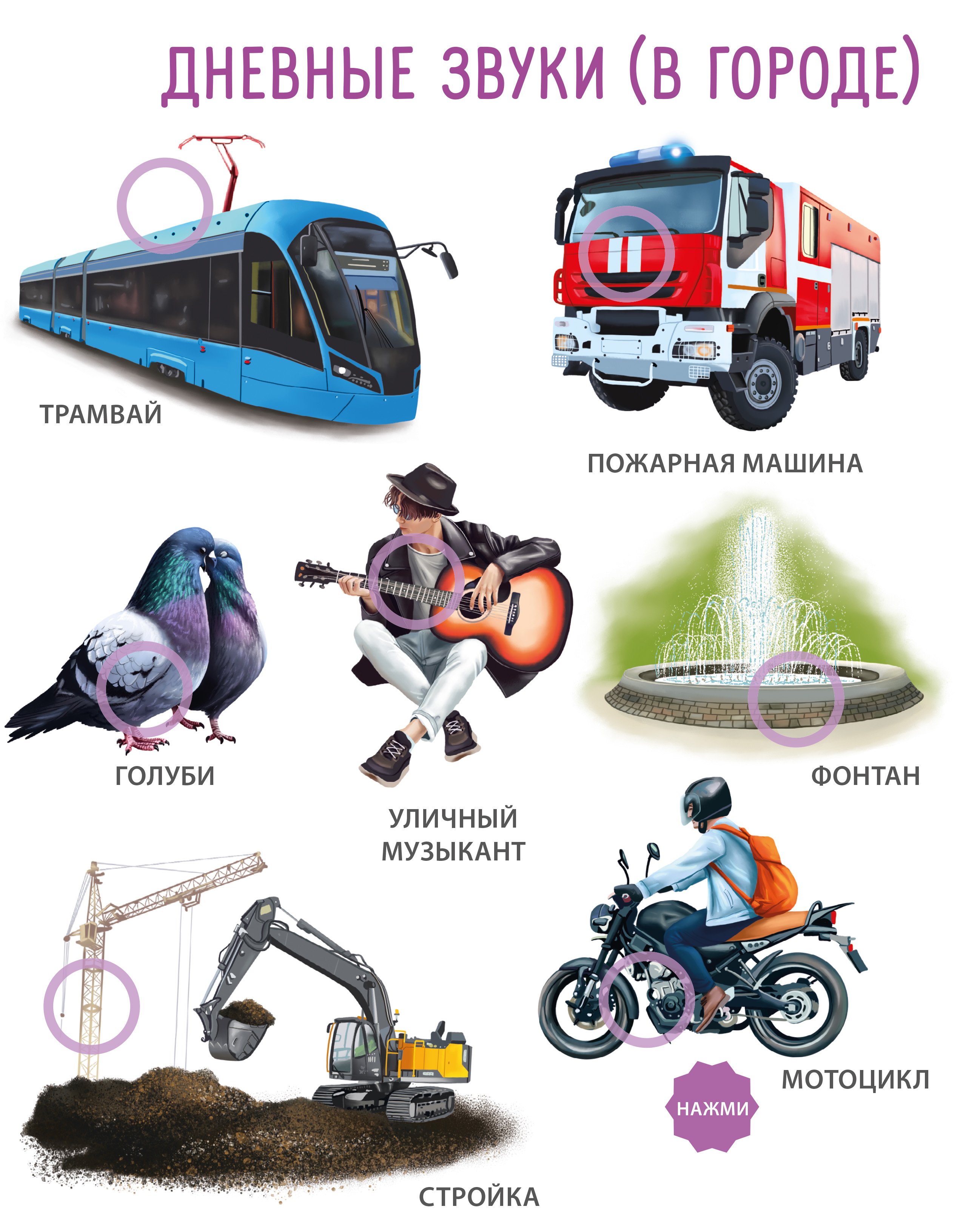 Миниатюра товара 50 звуков Животные/ Мир вокруг меня. Робинс. 8