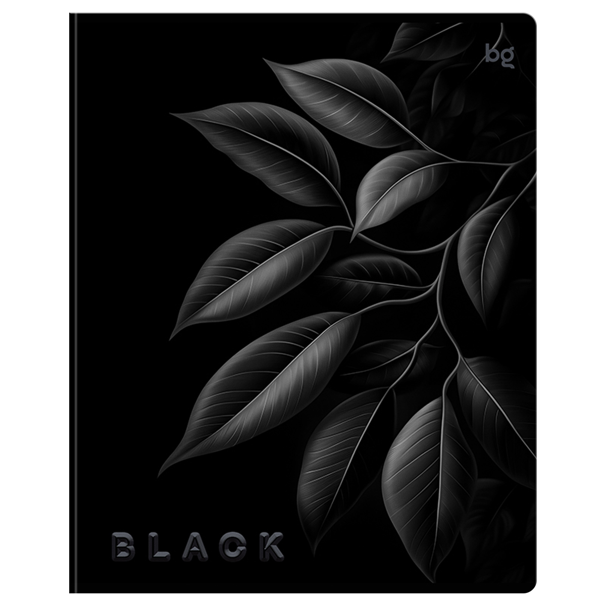 Миниатюра товара Тетрадь 48л Just Black 08500 BG 5