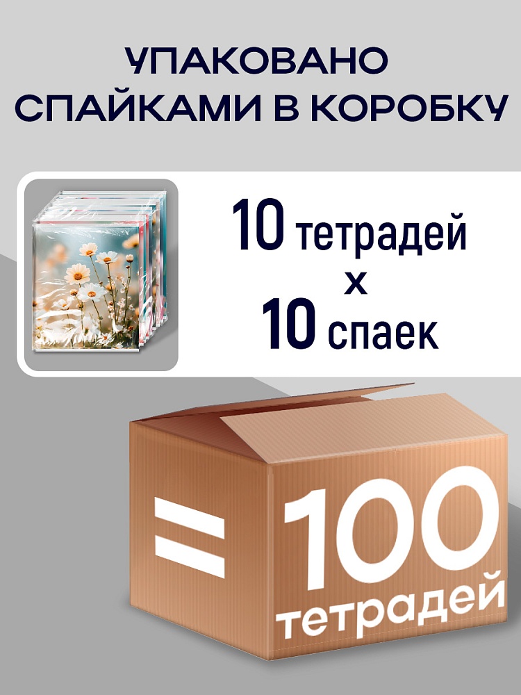 Миниатюра товара Тет радь Нежные цветочки-11 48-9070 5