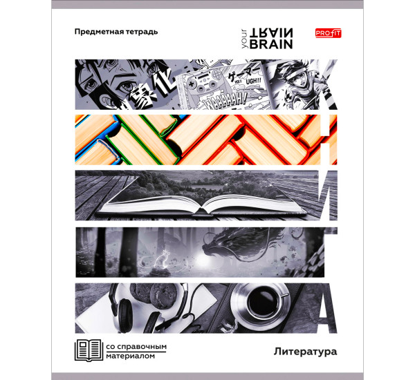 Миниатюра товара Тетрадь предметный 48л 10шт Контрасты 5