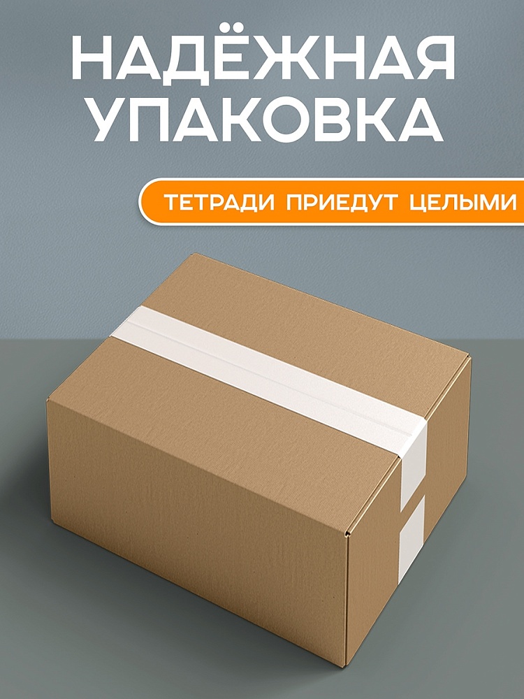 Миниатюра товара Тетрадь 12л крупная клетка Классика-2 4