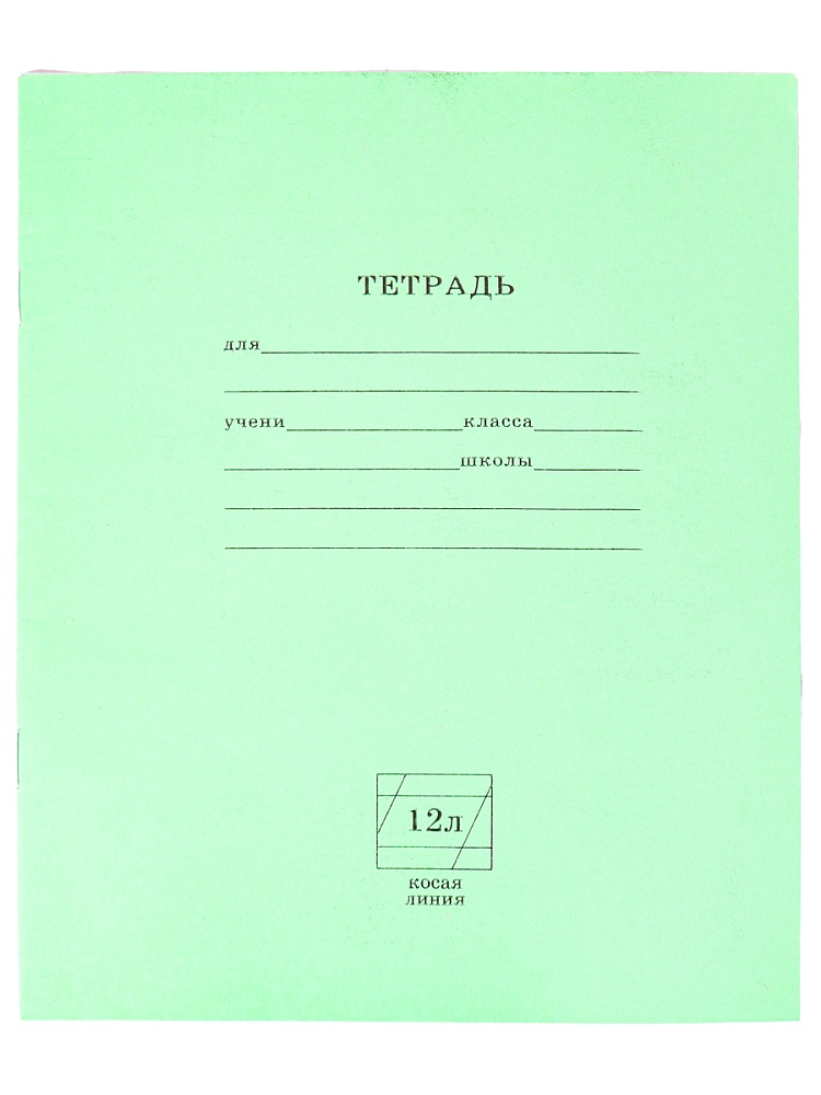 Тетрадь школьная 12л косая линия Проф 12-5750