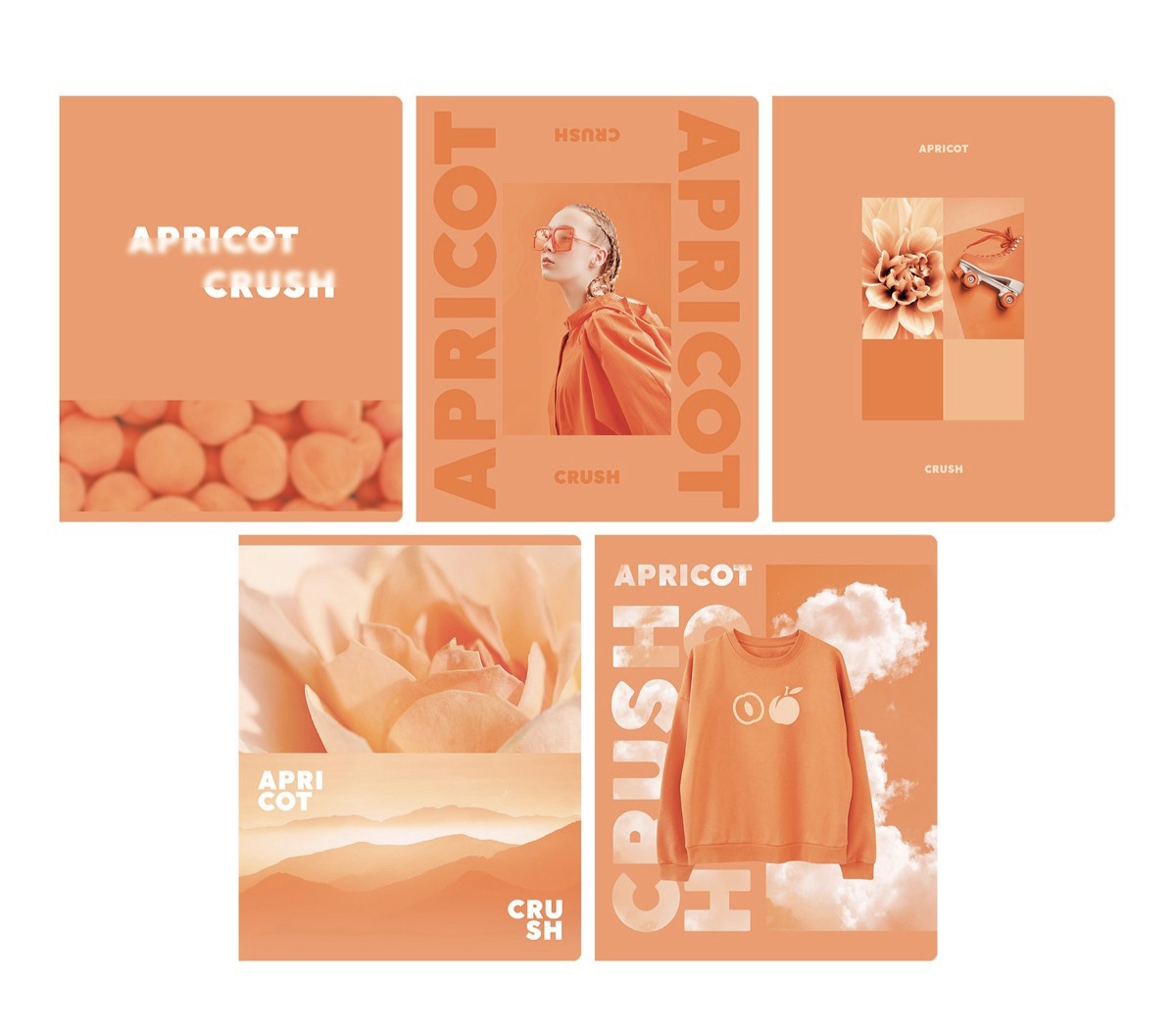 Тетрадь 48л Apricot