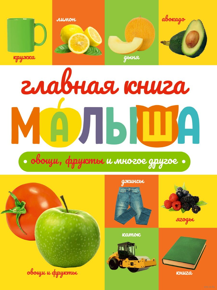 Главная книга Малыша.