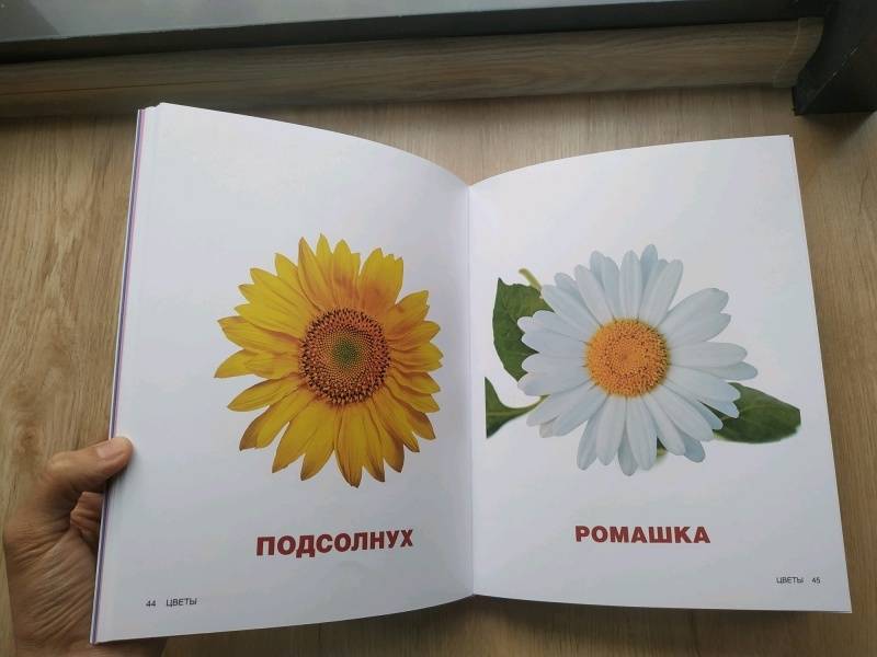 Миниатюра товара Главная книга Малыша. 2