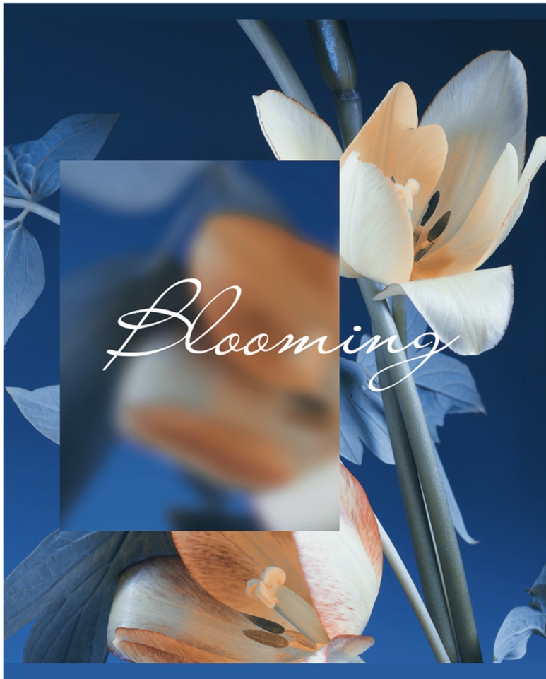 Миниатюра товара Тетрадь 48л Blooming BG 2