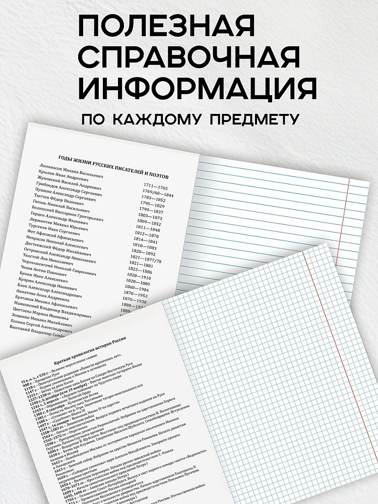 Миниатюра товара Предметные тетради 12шт На уроке. 6