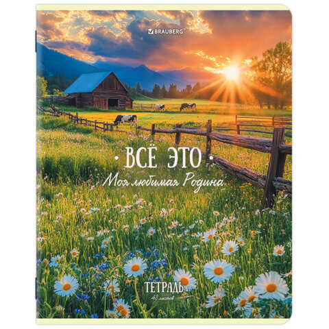 Миниатюра товара Тетрадь 48л Brauberg 405651 6