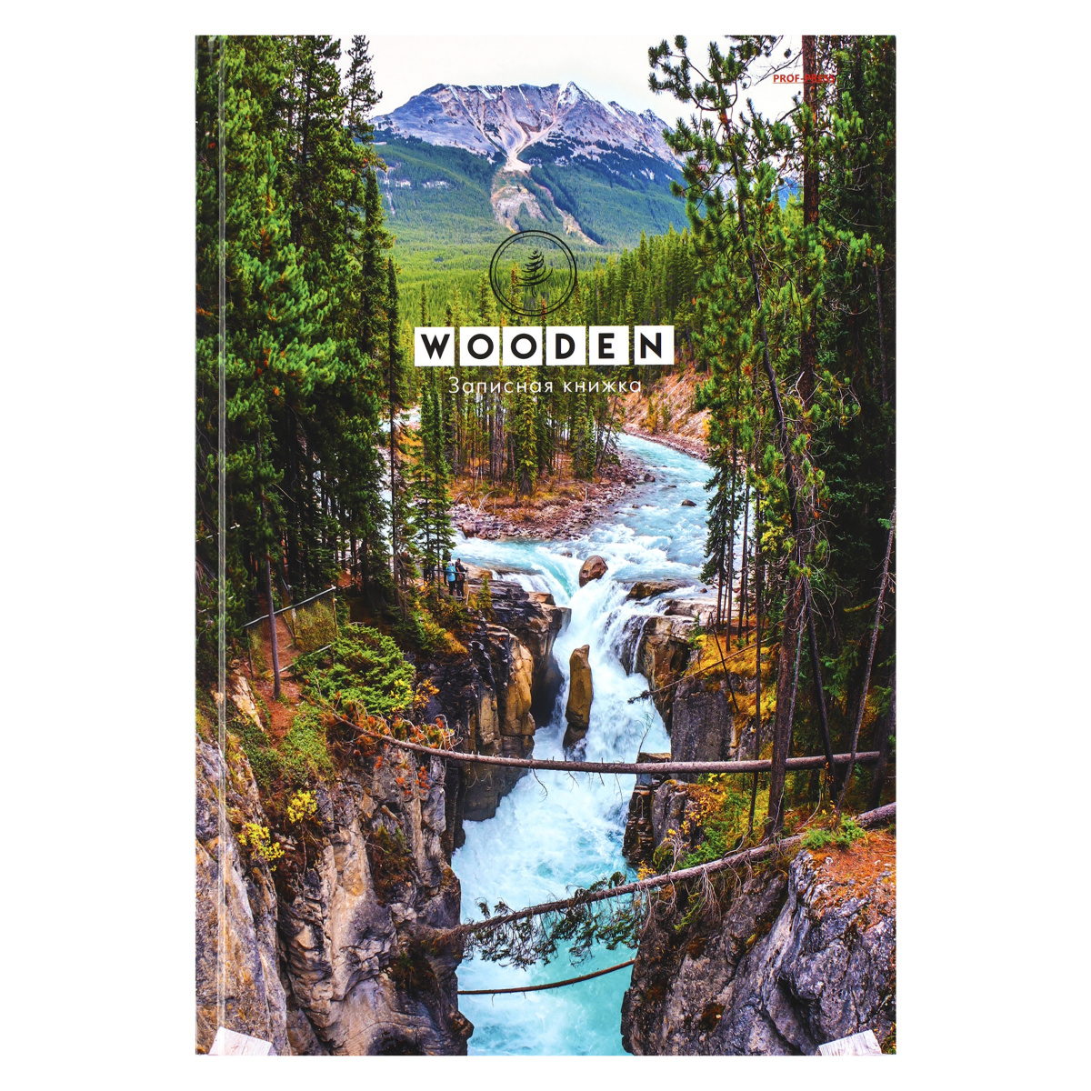 Записная книжка А4 тв 200л Ущелье в лесу